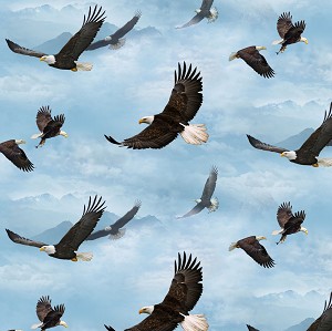 Wings of Pride 635 BLU Flying Eagles Elizabeths Studio 