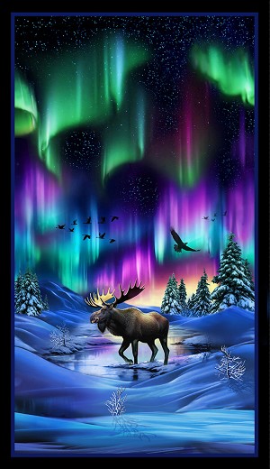 Northern Lights Aurora Borealis 734 Black Panel Moose Elizabeths Studio 