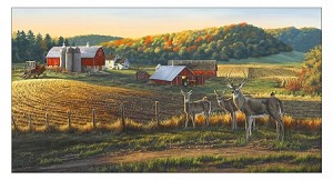 Multi Whitetails Digital Panel 8900, Elizabeths Studio 