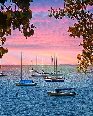 Sailboats at Dawn Digital Panel AL39940C1, David Textiles 