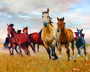 Wild Nature Horses AL44550C1 Digital Panel David Textiles 