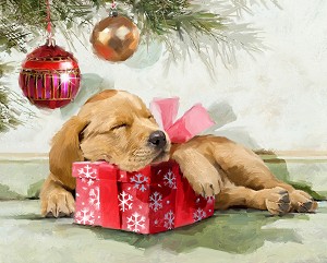 Sleepy Pup 45531 36 Inch Digital Panel David Textiles 