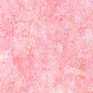 Spring Promise Artisan Batik 20622 107 Petal Robert Kaufman 