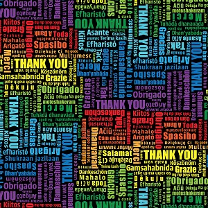 Everyday Heroes C8421 Multi Thank You Multiligual Timeless Treasures 