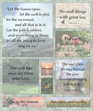 Natures Symphony 36 Inch Digital Panel Timeless Treasures 