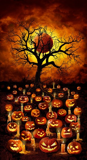 Jack O Lantern CD2914 Blood Moon Panel Timeless Treasures 