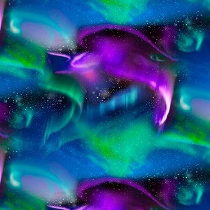 Multi Northern Lights CDX2685 Multi 108 WIDE Backing Timeless Treasures 
