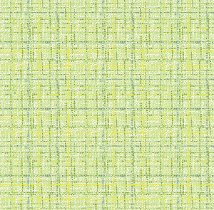 Coco 9316 Lime Blender Texture, Michael Miller 