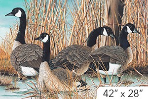Naturescapes Canada Goose DP21824 42 Digital Panel Northcot 