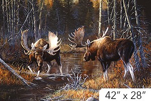 Naturescapes Majest Moose DP21825 36 Digital Panel Northcott 