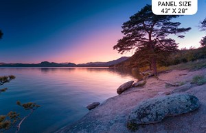 The View From Here DP23771 84 Lake Shore Tree Digital Panel, Northcott 