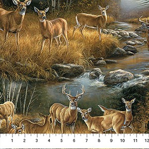 Birchwood DP29107 14 Tan Multi Scenic Northcott 