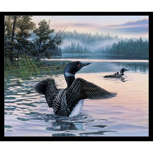 Loon on Lake 8916 Loon Family 36 Inch Panel Elizabeths Studio 