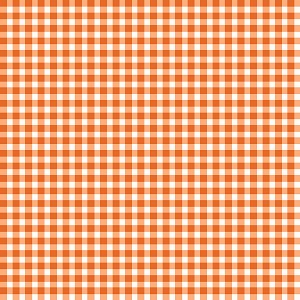 Harvest Rose Flannel F10635 O Gingham Orange Maywood Studio 