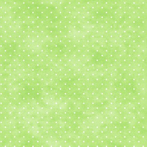 Playtime Flannel Basics F10690 G Tiny Dots Maywood Studio 