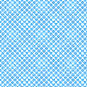 Playtime Flannel Basics F10691 B Bias Gingham Maywood Studio 