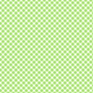 Playtime Flannel Basics F10691 G Bias Gingham Maywood Studio 