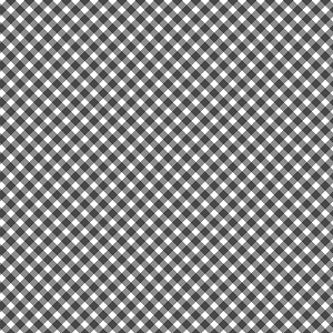 Playtime Flannel Basics F10691 J Bias Gingham Maywood Studio 