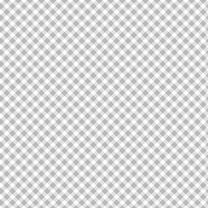 Playtime Flannel Basics F10691 K Bias Gingham Maywood Studio 