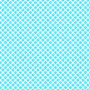 Playtime Flannel Basics F10691 Q Bias Gingham Maywood Studio 