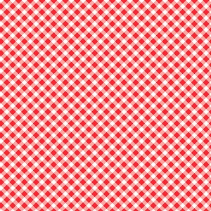 Playtime Flannel Basics F10691 R Bias Gingham Maywood Studio 