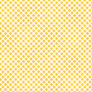 Playtime Flannel Basics F10691 S Bias Gingham Maywood Studio 
