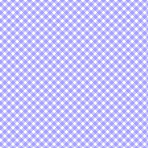 Playtime Flannel Basics F10691 V Bias Gingham Maywood Studio 