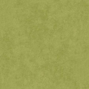 Maywood Studio Flannel Shadowplay F513 GN Nile Green Tonal 