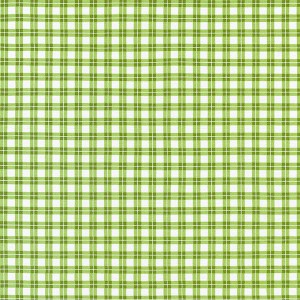 Elizabeth Collection 19901 7 Green Mini Plaid Robert Kaufman 