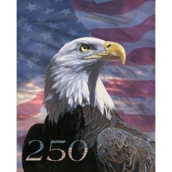 America 250 Years 33705C USA Eagle Panel 36 Inch Wide David Textiles 