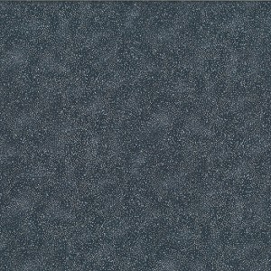Brilliant Blender G8555 55S Silver Metallic Accent Charcoal Hoffman 