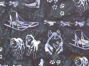 R2265 19 Navy Sleddogs 