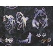 R2265 19 Navy Sleddogs 