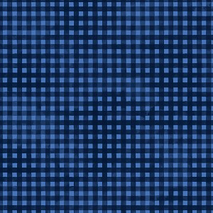 Jewel Gingham 5357 DB Deep Blue P and B Textiles 