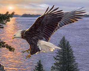 Shining Sea Eagle Digital Panel JQ00309C1, David Textiles 