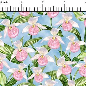 All Minnesota Shop Hop 2024 Minky 30214 B Blue Lady Slipper Quilting Treasures 