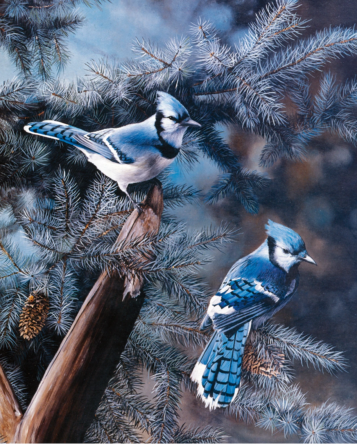 Touch of Blue 02645 Multi 36 Inch Digital Panel David Textiles 