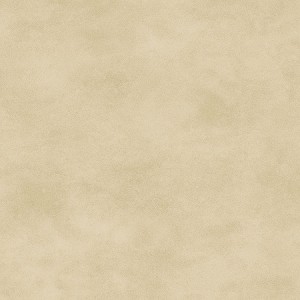 Maywood Studio Woven Shadowplay 513 EE2 Soft Tan 