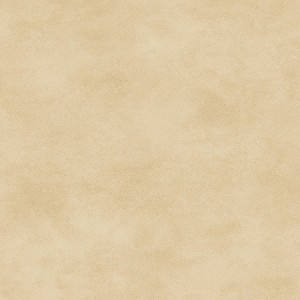 Maywood Studio Woven Shadowplay 513 EE3 Natural 
