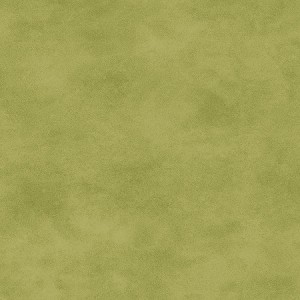 Maywood Studio Woven Shadowplay 513 G22 Sprout 