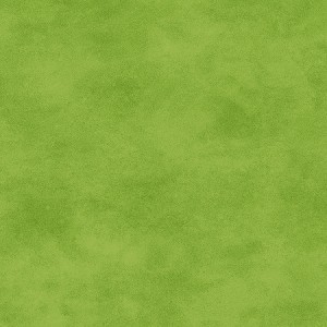 Maywood Studio Woven Shadowplay 513 G62 New Leaf 