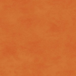 Maywood Studio Woven Shadowplay 513 08 Tangerine 