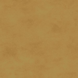 Maywood Studio Woven Shadowplay 513 SA6 Light Gold 