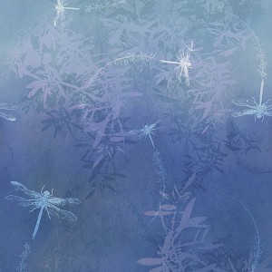 Jewel Basin Dragonflies MRD23 324 Dragonfly McKenna Ryan Hoffman 