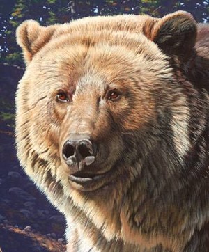 Wild and Beautiful Digital Panel P9281 Bear, Riley Blake 
