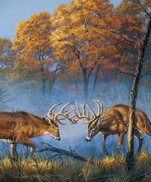 Natures Finest P9953 Deer Digital Panel, Riley Blake 