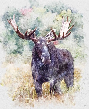 Natures Window DP11867 Moose 36 Inch Digital Panel Riley Blake 
