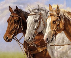 Ride the Range PD12747 Three Horses 36 Inch Digital Panel Riley Blake 