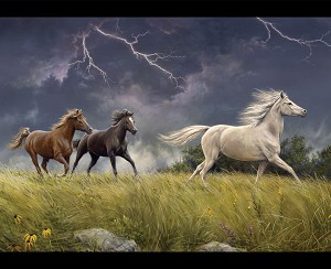 Wild Horses PD15534 Storm Digital Panel 36 x 43 Inch Riley Blake 