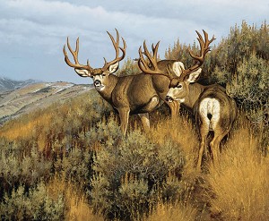 Majestic in Nature Mulies PD15981 36 Inch Digital Panel Riley Blake 